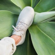 号称“世界上最舒服的运动鞋” Allbirds 又完成 1750万美元B轮融资