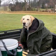 幸福死了的高尔夫之犬！